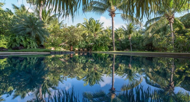piscina toca da coruja 2