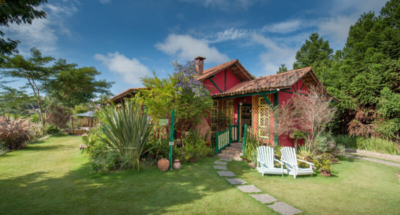 20170308232356_Rabo-do-lagarto-Estoque-Medias-41